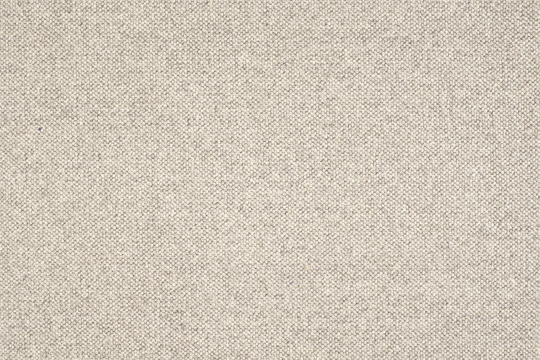 Jaro - Image 5