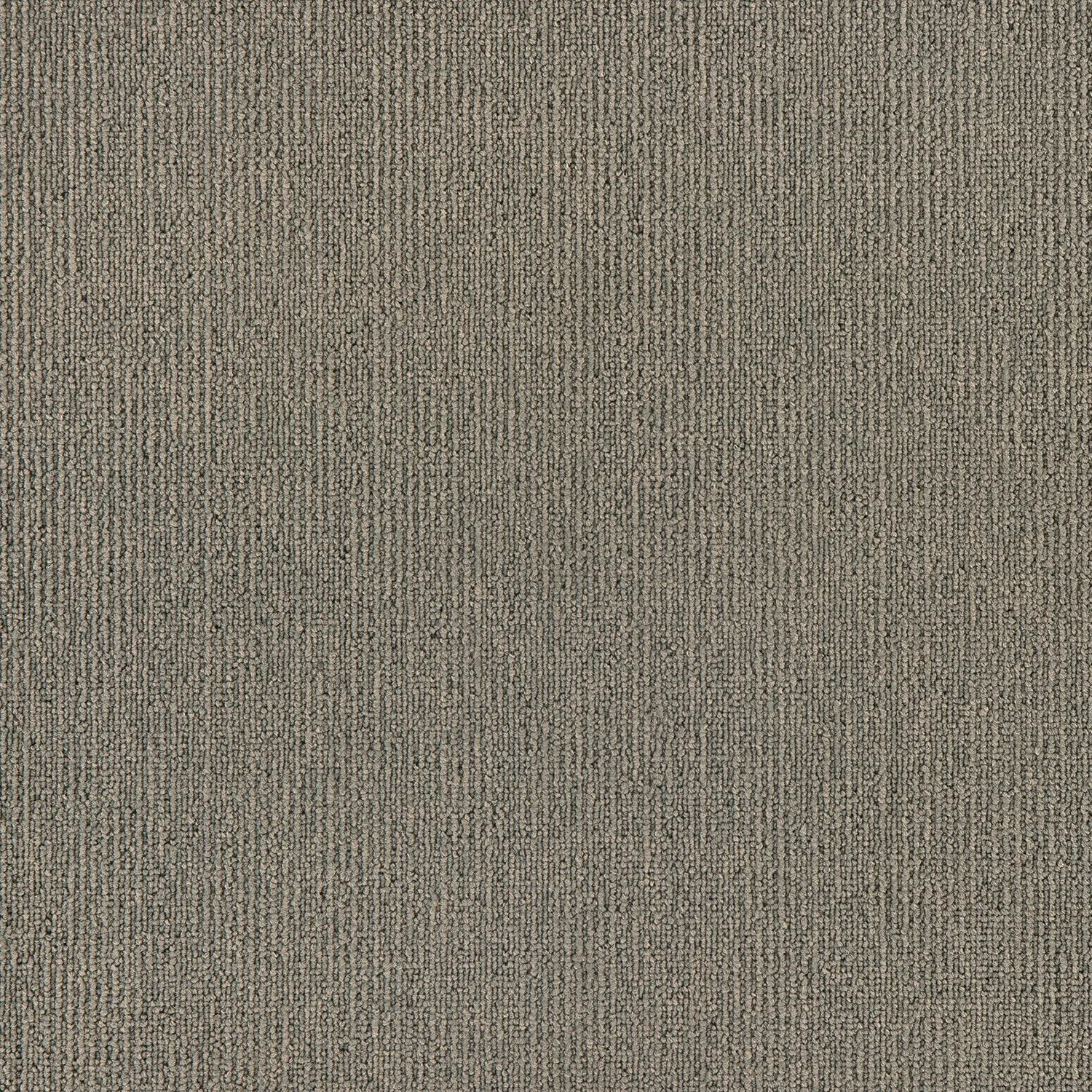 Elegance - Image 8