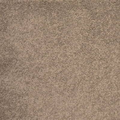 First Sensation - Image 5