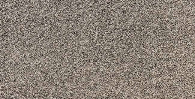 Mega Star - Image 6