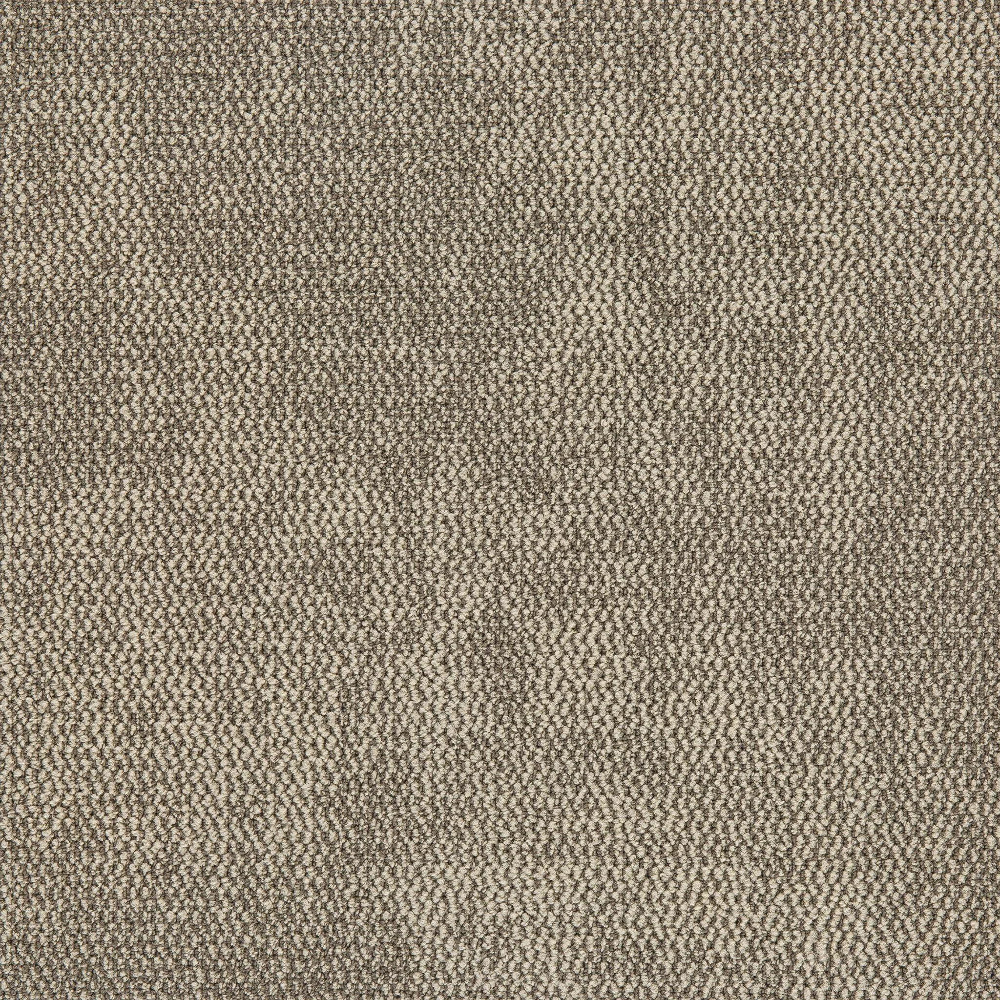 Nova - Image 3