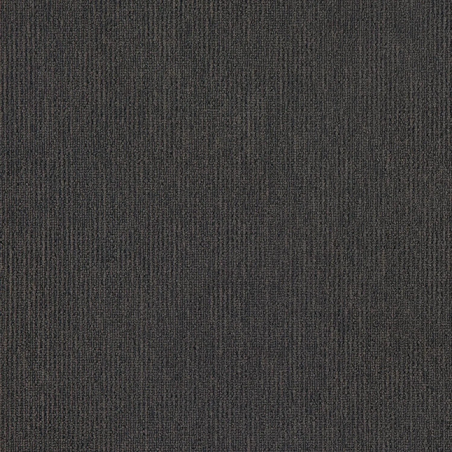 Elegance - Image 10