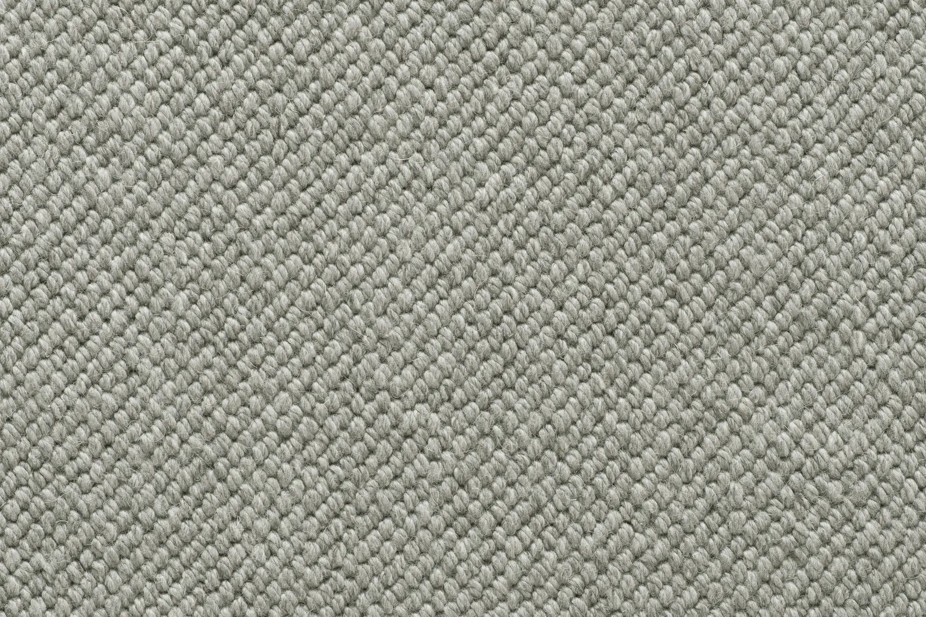 Sven - Image 6