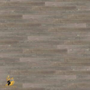 Sorrel Oak