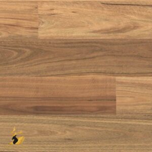 Spotted Gum / Smooth