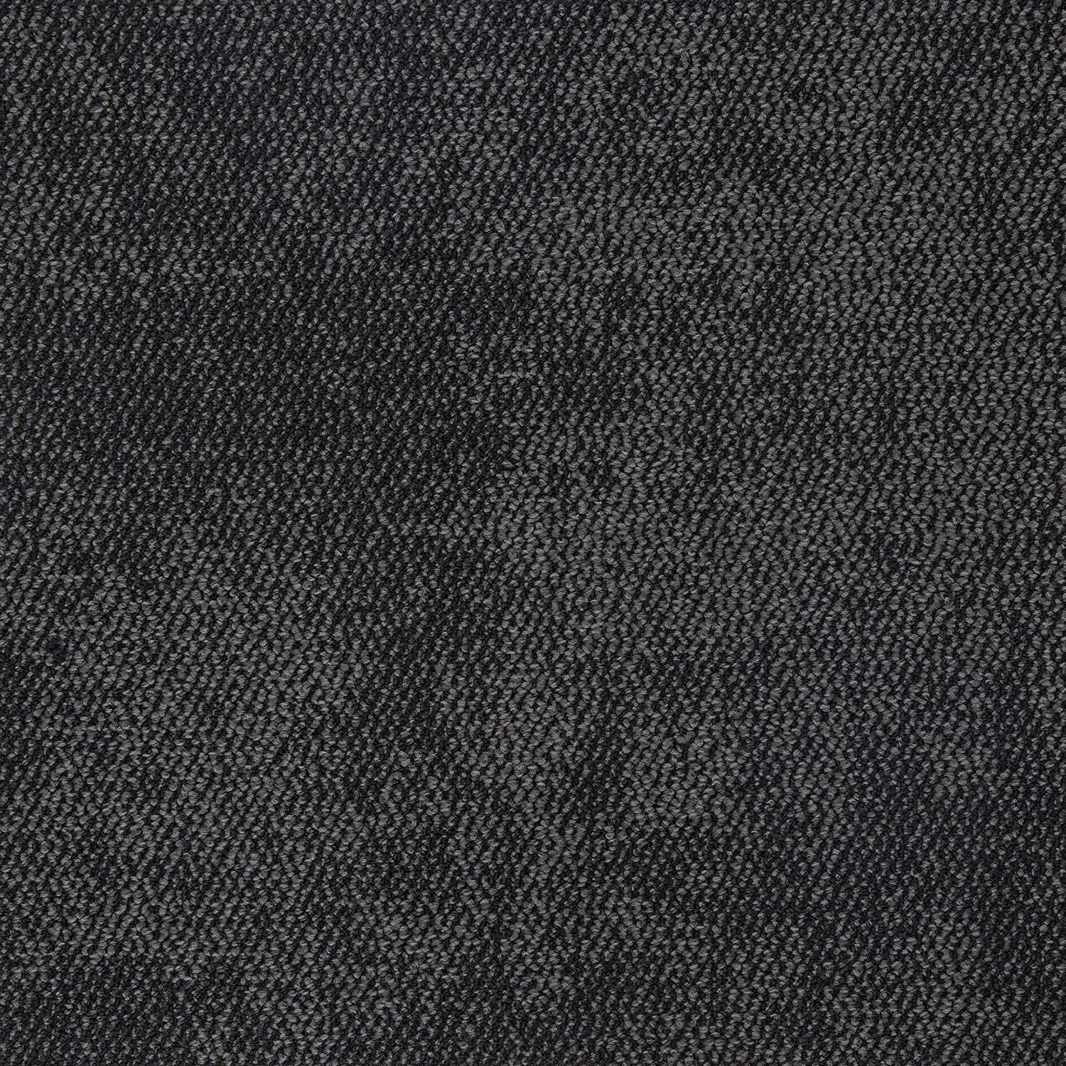 Nova - Image 5