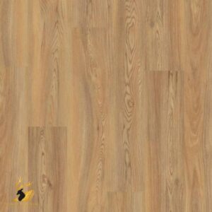 Tasmanian Blackbutt