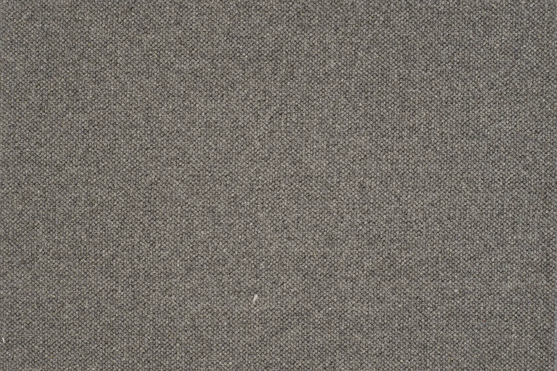 Jaro - Image 6