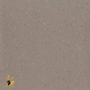 Truffle Shore