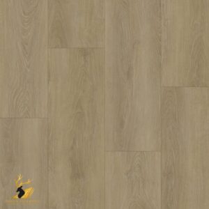 Urban Oak