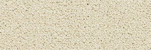 Pacific - Image 6