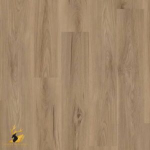 Watermill Elm