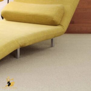 Whimsical Twist (NEW) / Broadwater