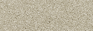 Pacific - Image 7