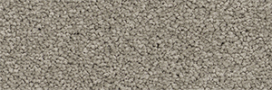 Pacific - Image 9